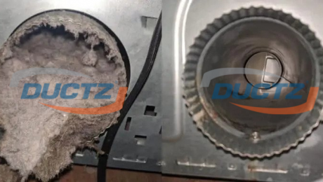 Before-and-After_5-1_with watermark.jpg